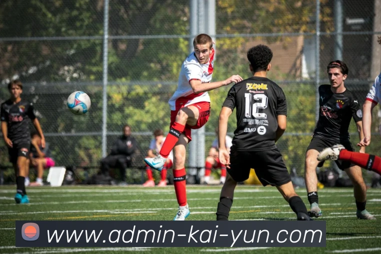 App Interface Preview